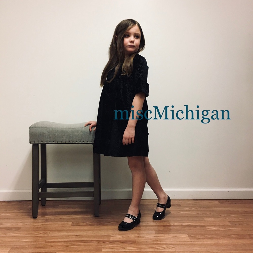 NWT MiscMichigan Velvet Dress